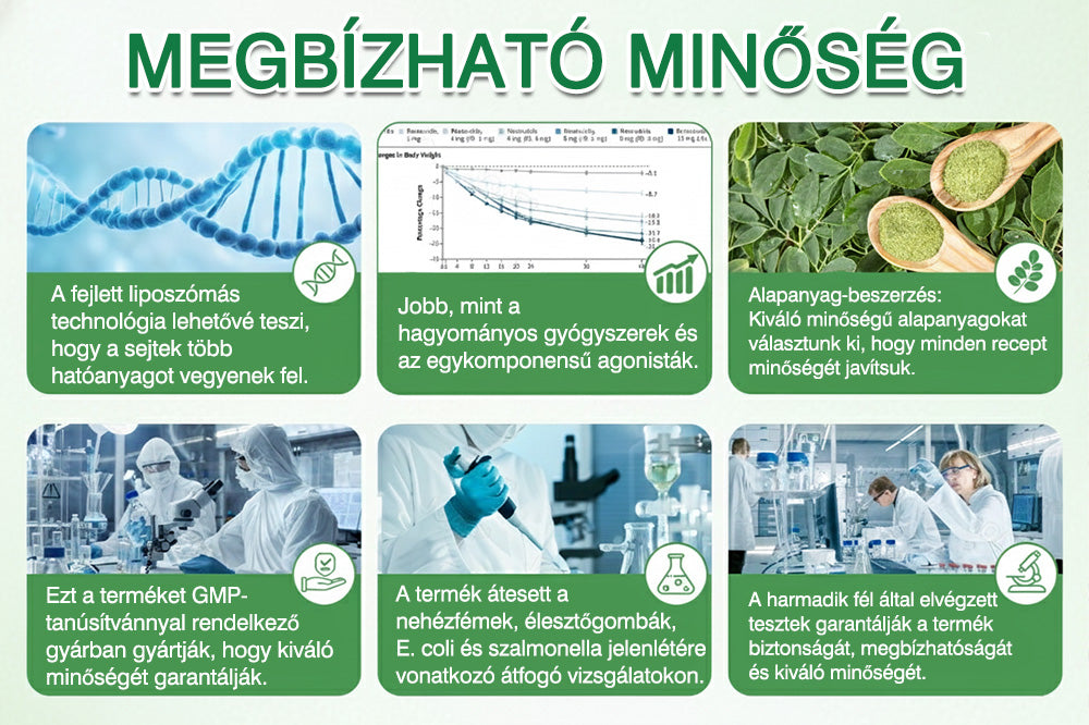 🔥GFOUK® 𝐁𝐞𝐫𝐛𝐞𝐫𝐢𝐧 · Vadgesztenye × NAD+ 10 az 1-ben Fejlett Nano Tűs Tapasz — 🍃 Naponta egyszer, 7 nap alatt látható eredmények (elhízás, laza bőr, cukorbetegség, alvási apnoe, ízületi problémák és más)🔥