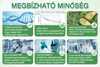 🔥GFOUK® 𝐁𝐞𝐫𝐛𝐞𝐫𝐢𝐧 · Vadgesztenye × NAD+ 10 az 1-ben Fejlett Nano Tűs Tapasz — 🍃 Naponta egyszer, 7 nap alatt látható eredmények (elhízás, laza bőr, cukorbetegség, alvási apnoe, ízületi problémák és más)🔥